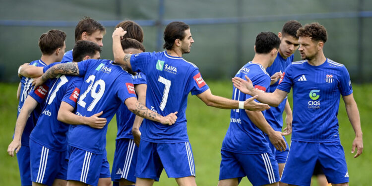 Sportske novosti – Otkrivamo zašto ulazak u SHNL postaje financijska stupica: Kotizacija, LED ekrani, putovanja…