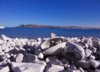 Srpski novinar pokrenuo raspravu o ljetovanju u Hrvatskoj pa dobio lavinu reakcija
