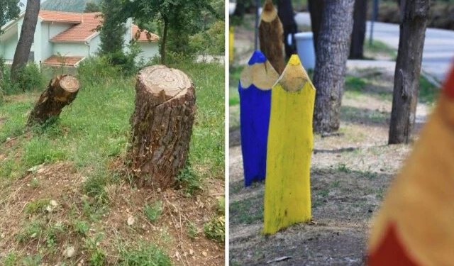 Što mislite da porušena stabla na Trimuši prepustimo mostarskim kreativcima?