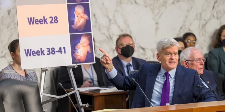 Thune, Johnson poziva Vrhovni sud da ponovno uvede ograničenja mifepristona