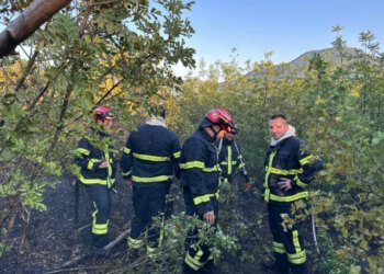 Zapaljeno smeće izazvalo požar kod Neuma, vatra se proširila na okolnu šumu