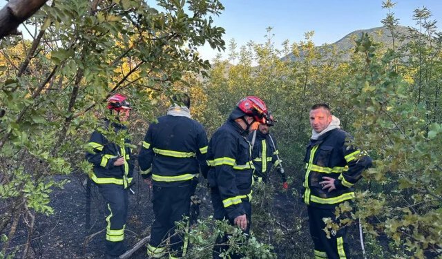 Zapaljeno smeće izazvalo požar kod Neuma, vatra se proširila na okolnu šumu