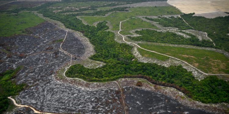 Zlatna groznica potiče krčenje šuma u Amazoniji i trovanje živom u brazilskim zaštićenim područjima