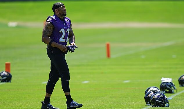 Zvijezda NFL raningbeka Derrick Henry izaziva strahove za zdravlje nakon sudara sa suigračem iz Ravensa u ‘strašnom trenutku’