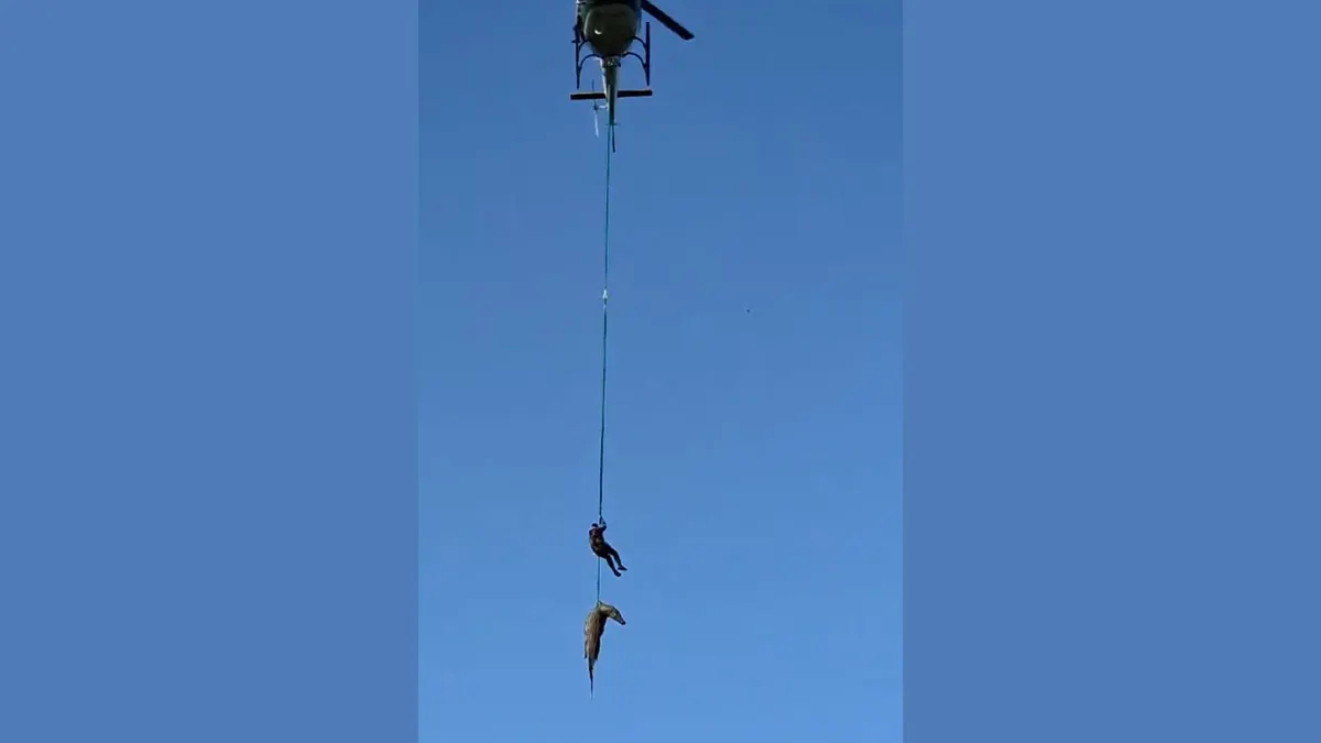 Široka snimka helikoptera na nebu s osobom i krokodilom koji visi daleko ispod na jednom užetu.
