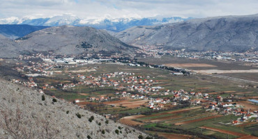 Jasenica