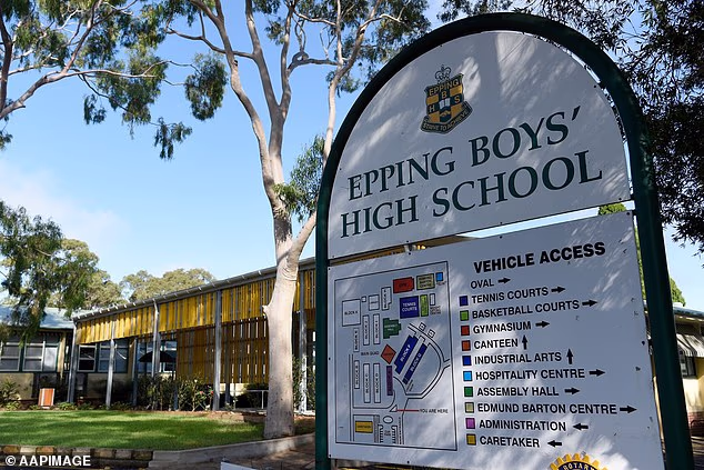 Prema riječima očevidaca, mama je 'zauzela svoje mjesto i odbila napustiti bočnu liniju' nakon što je otrčala tijekom utakmice u Epping Boys' High School (na slici)