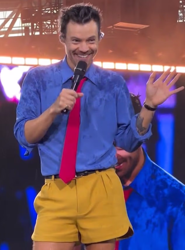 Harryjev uspon bio je potpuno drugačiji – od odrastanja u malom gradu u Holmes Chapel do globalne slave koja je započela na X Factoru 2010.