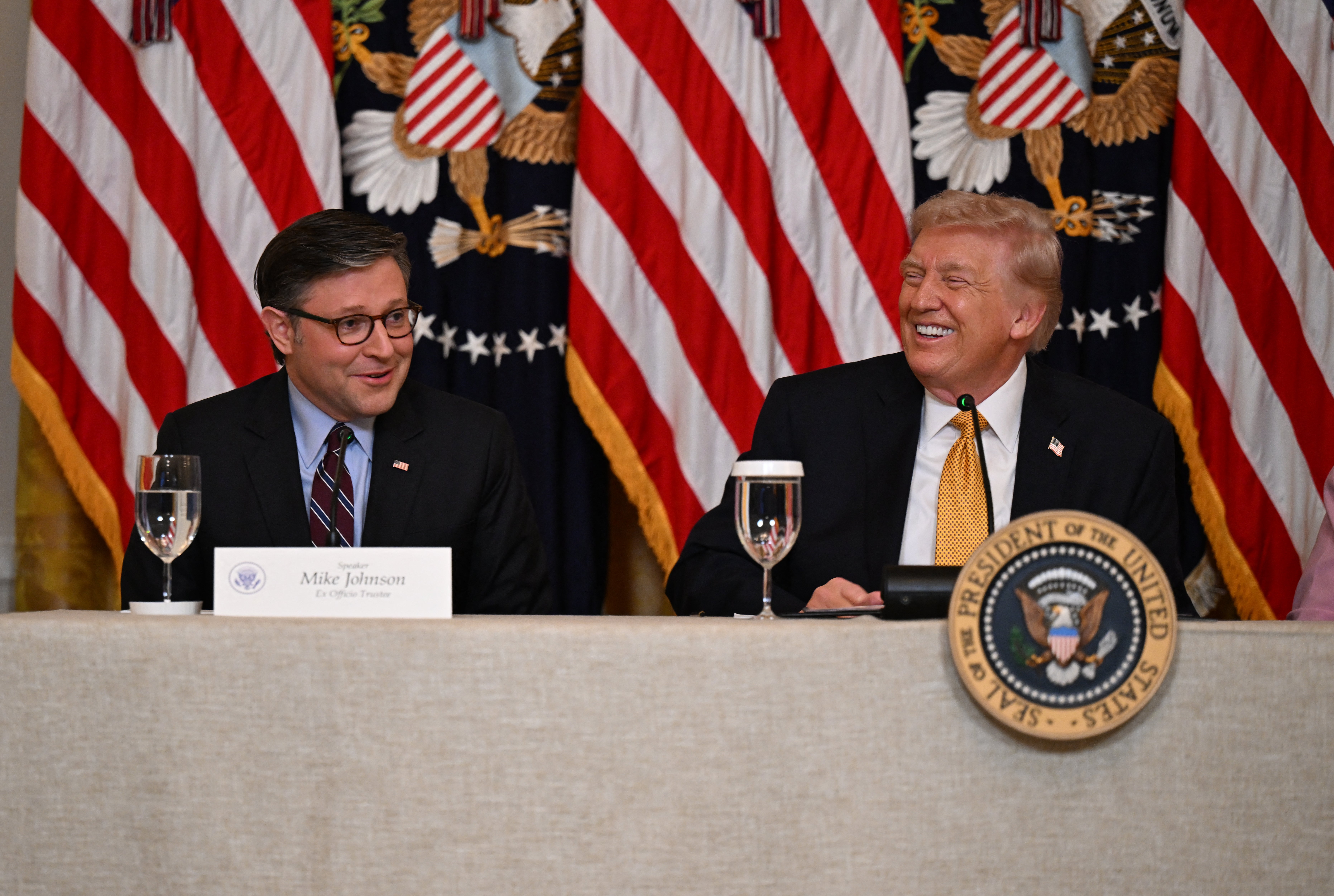 Predsjedavajući Zastupničkog doma Mike Johnson rekao je u utorak da je predsjednik Donald Trump blizu imenovanja stalnog šefa američke obavještajne službe