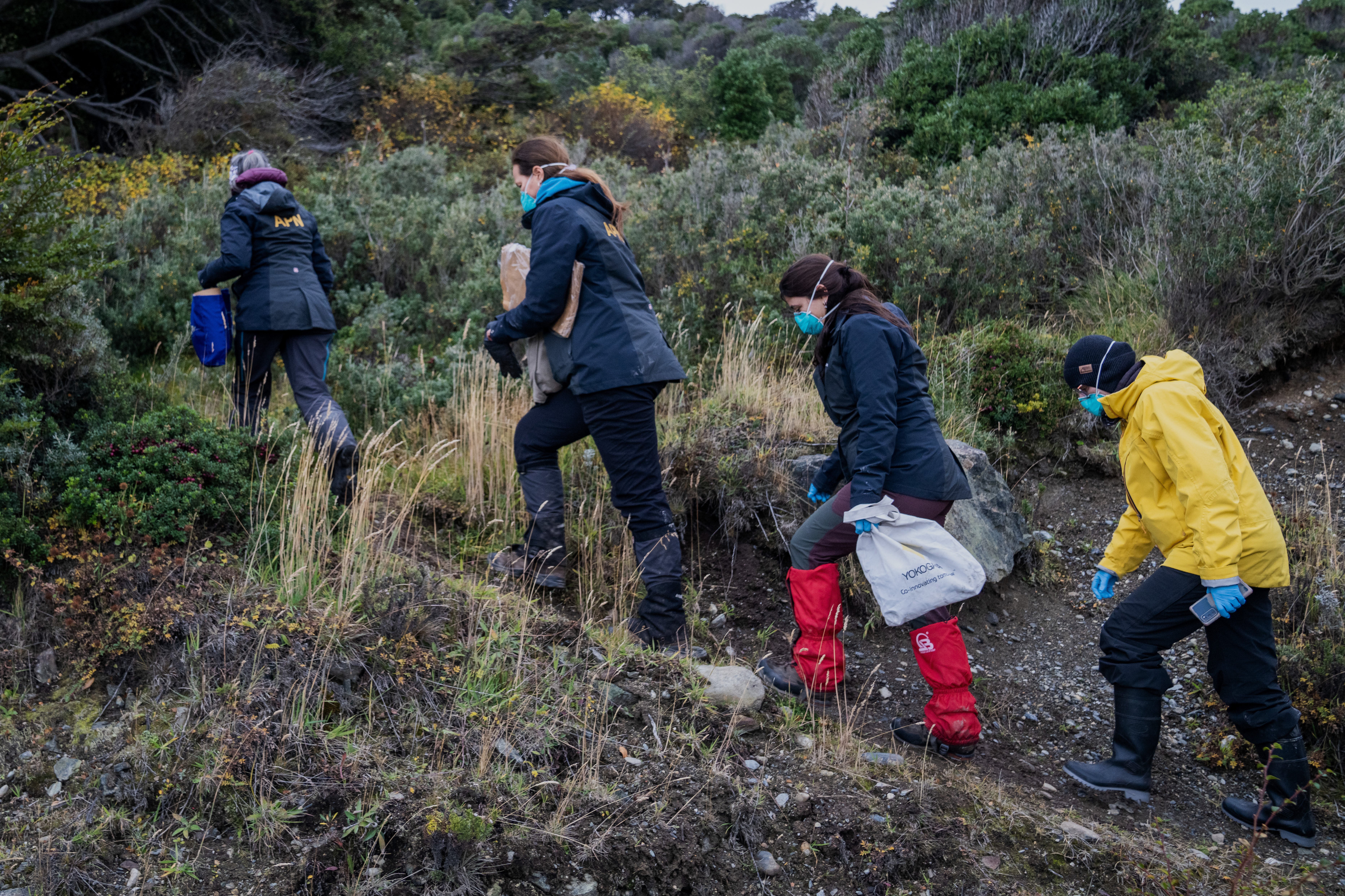 Argentina proširuje svoju istragu o izbijanju hantavirusa na kruzeru