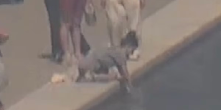Američka policija Parka objavila je snimku tražene žene zbog Lincolnovog spomenika koji odražava “uništenje” bazena