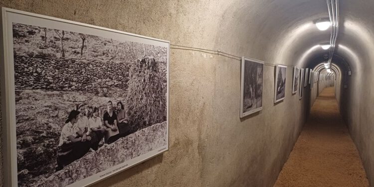 Bivši vojni tunel na otoku Biševu krije najljepšu priču o Dalmaciji
