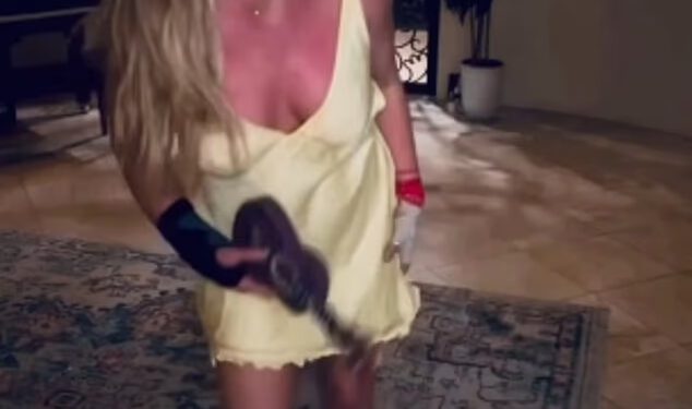 Britney Spears napravi šokantno priznanje bebe dok dijeli kaotičnu objavu za Očev dan