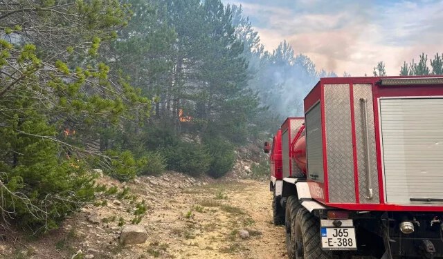 FOTO/VIDEO Veliki požar kod Posušja i dalje aktivan, opožareno više od 35 hektara, vatrogasci ostaju na terenu cijelu noć