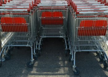 Federalni revizori utvrdili propuste u provedbi neradne nedjelje