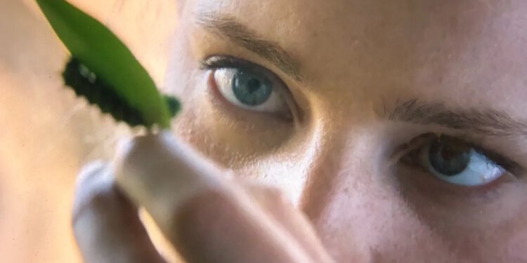 House of the Dragon Sezona 3: Helaena komentira Caterpillar Theory