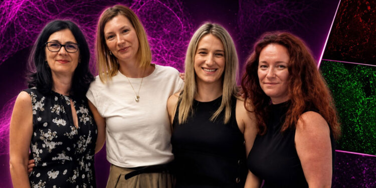 Jedan protein, više uloga: novo otkriće IRB-a o kretanju stanica melanoma