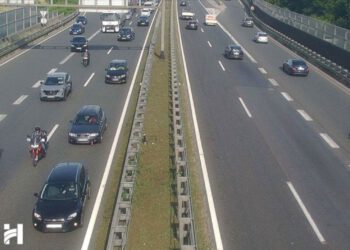 Kaos na zagrebačkoj obilaznici, svinje ispale iz kombija: ‘Strahota, ima mrtvih praščića’
