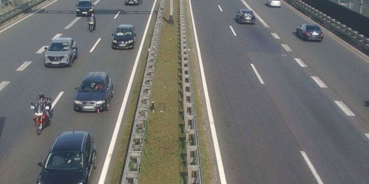 Kaos na zagrebačkoj obilaznici, svinje ispale iz kombija: ‘Strahota, ima mrtvih praščića’