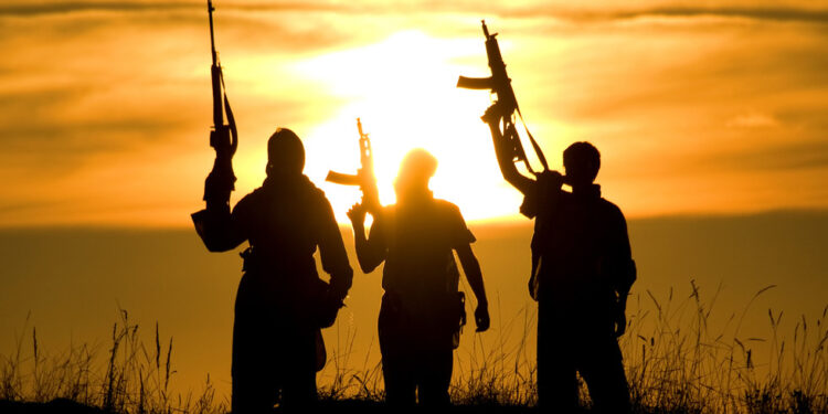 Militanti povezani s Islamskom državom ubili su 21 osobu u DR Kongu — RT Afrika