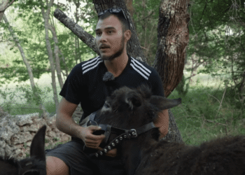Nikola se iz Zemuna vratio na djedovinu u Dalmaciji i nabavio stoku: “Nikad nisam bio sretniji”