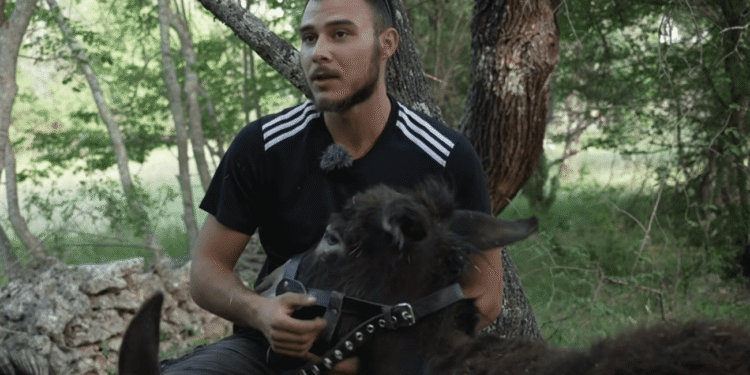 Nikola se iz Zemuna vratio na djedovinu u Dalmaciji i nabavio stoku: “Nikad nisam bio sretniji”
