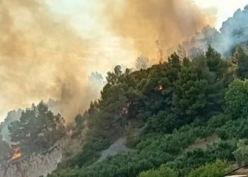 Niz požara nakon nevremena: Planulo i na Hvaru, na teren izašla tri vatrogasna vozila