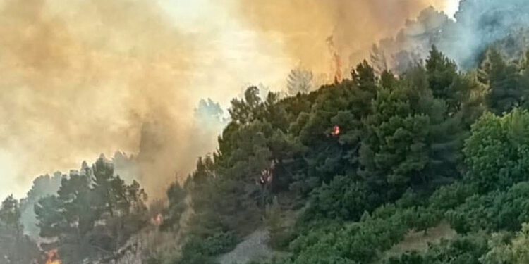 Niz požara nakon nevremena: Planulo i na Hvaru, na teren izašla tri vatrogasna vozila