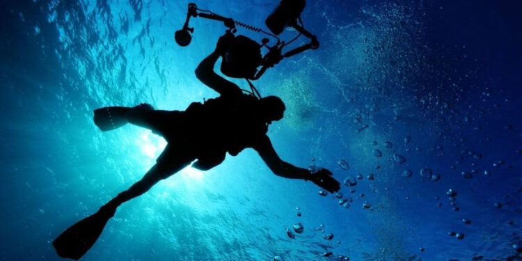 Nova kampanja za zaštitu Jadrana: Ovo ljeto snimite fotografiju koja pomaže znanosti