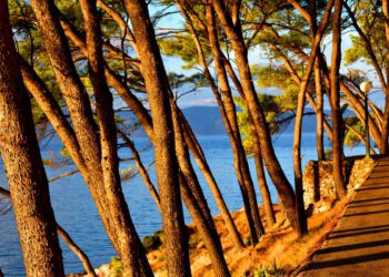“OTOK ŽENA” Izložba u Jelsi koju vrijedi posjetiti