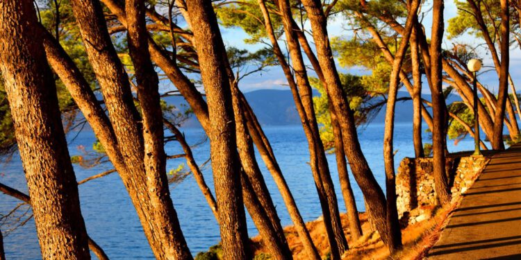 “OTOK ŽENA” Izložba u Jelsi koju vrijedi posjetiti