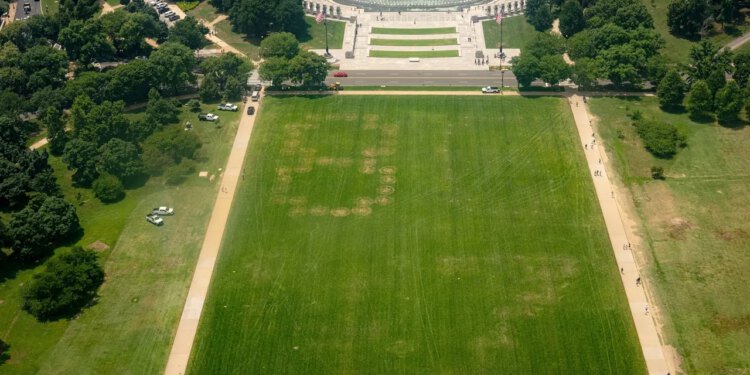 Ogromna poruka ‘8647’ urezana u travu National Mall-a potiče istragu