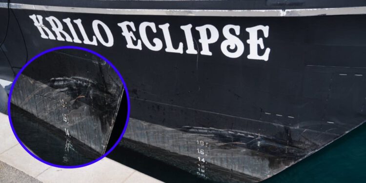 Ovako izgleda Krilo Eclipse nakon sudara s jedrilicom