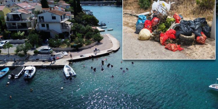 Pogledajte što su sve ronioci izvukli iz mora u Žaboriću!