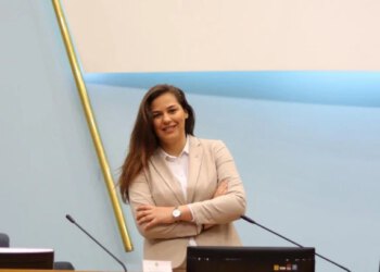 Potpredsjednica NSRS-a razbila službeni Audi plaćen više od 60.000 KM