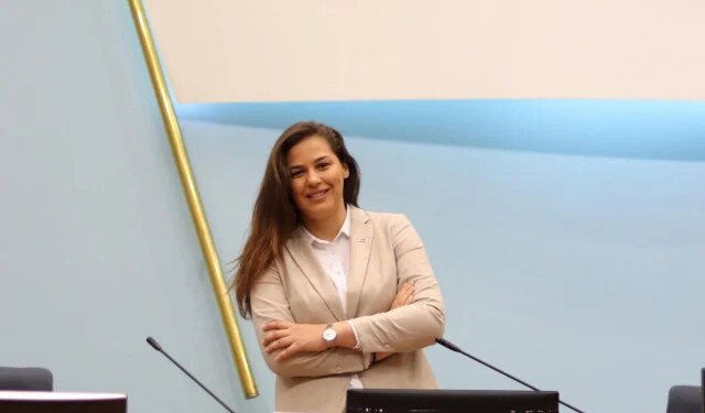 Potpredsjednica NSRS-a razbila službeni Audi plaćen više od 60.000 KM