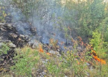 Požar prijeti kućama u selu kod Trebinja