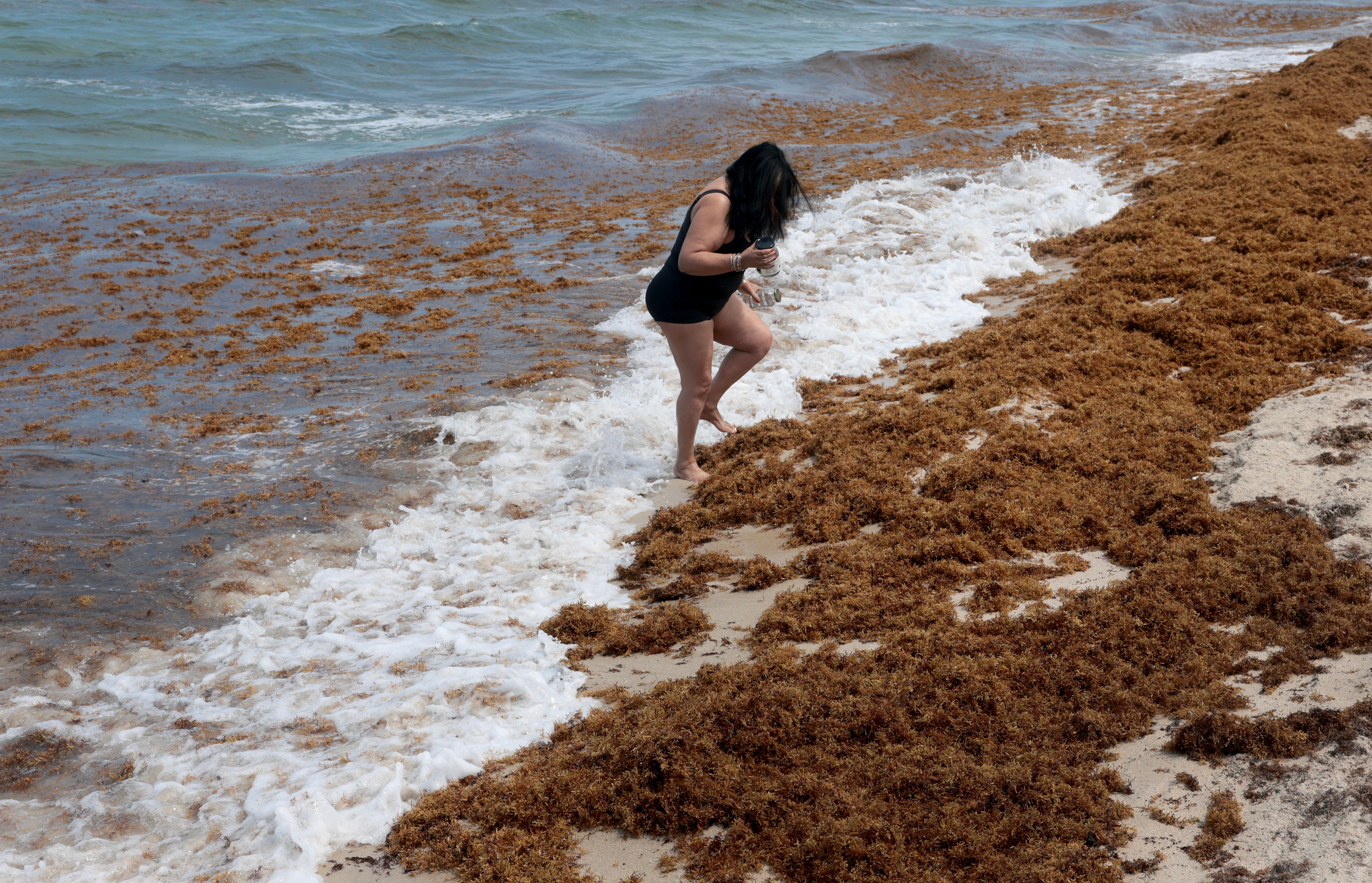 Posjetnik plaže šeće kroz gomile sargassum u Miami Beachu, Florida. Smrdljiva morska trava nakuplja se u 'rekordno velikim' količinama ove godine, kažu istraživači