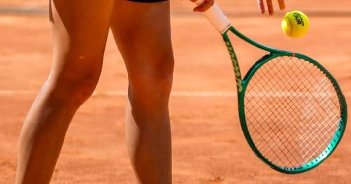 Tenis "okupirao" Makarsku: "Došao im Plenković, pjevat će im Severina"