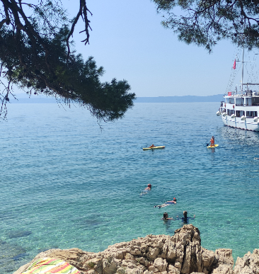 BRAVO MAJSTORI Usidrili se na pedesetak metara od obale prirodne plaže: "Ovo se događa svaki dan, brodova je sve više"
