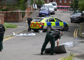 Sudanski izbjeglica uhićen zbog pokušaja odrubljivanja glave u Belfastu (GRAFIČKI VIDEO) — RT World News