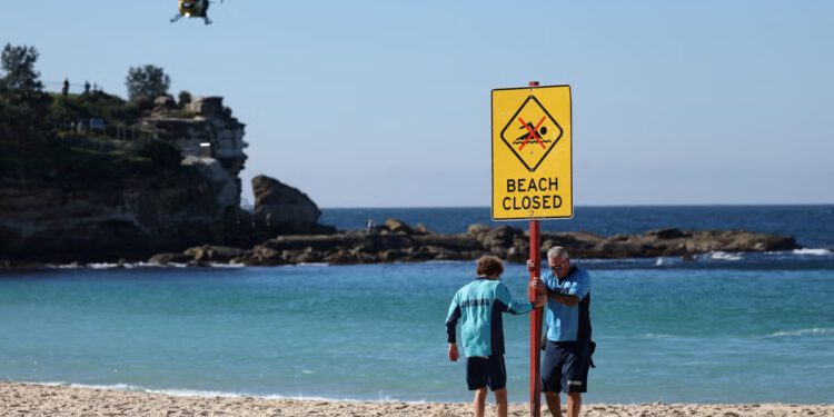 Sydney ponovno otvara plažu nakon napada morskog psa u kojem je plivač teško ozlijeđen