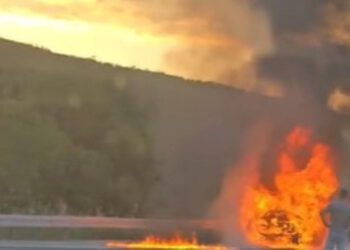 VIDEO Policija se oglasila o požaru auta na A1