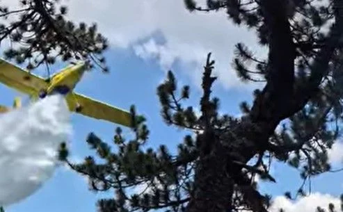 VIDEO Ponovno aktiviran požar na Blidinju, Air Tractor pružao potporu vatrogascima