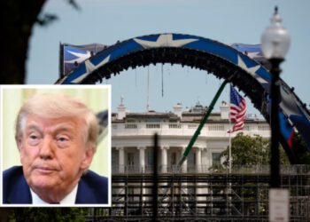 Većina Amerikanaca ne odobrava Trumpovu rođendansku borbu u kavezu za UFC