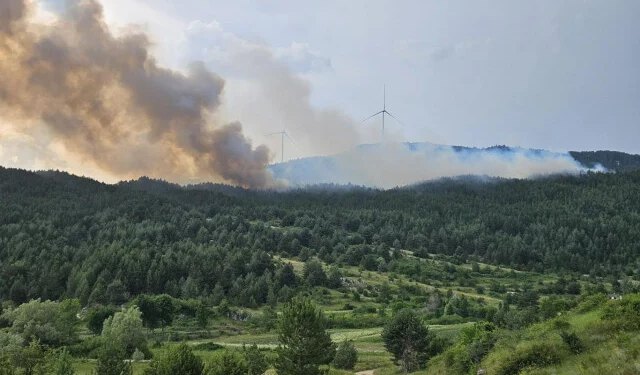 Veliki požar kod Posušja, tražit će se pomoć helikoptera Oružanih snaga BiH