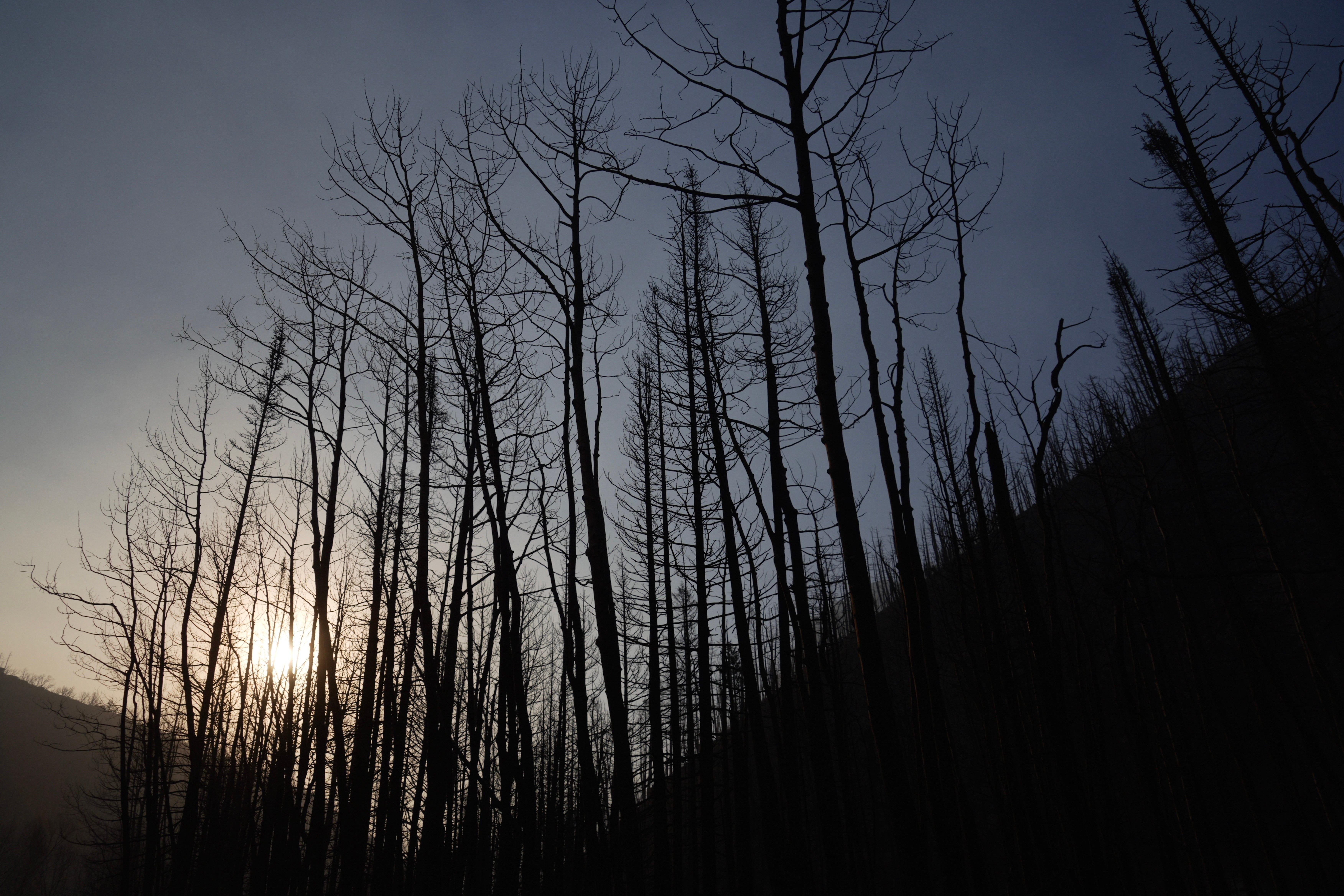 Cottonwood Fire se proširio na više od 144 četvorne milje (373 četvorna kilometra) nakon marširanja kroz kanjone i planinske obronke