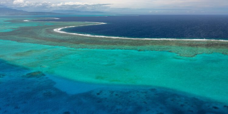Znanstvenici identificirali koraljne grebene koji bi mogli preživjeti klimatsku krizu