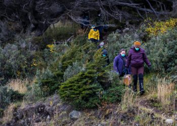 Znanstvenici se vraćaju nizozemskim turistima dok Argentina širi istragu o hantavirusu