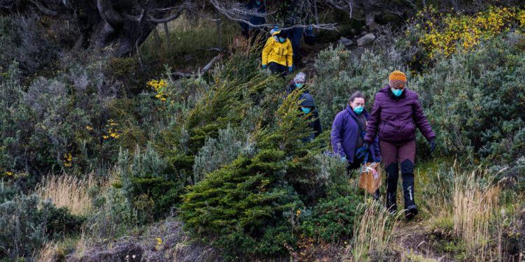 Znanstvenici se vraćaju nizozemskim turistima dok Argentina širi istragu o hantavirusu